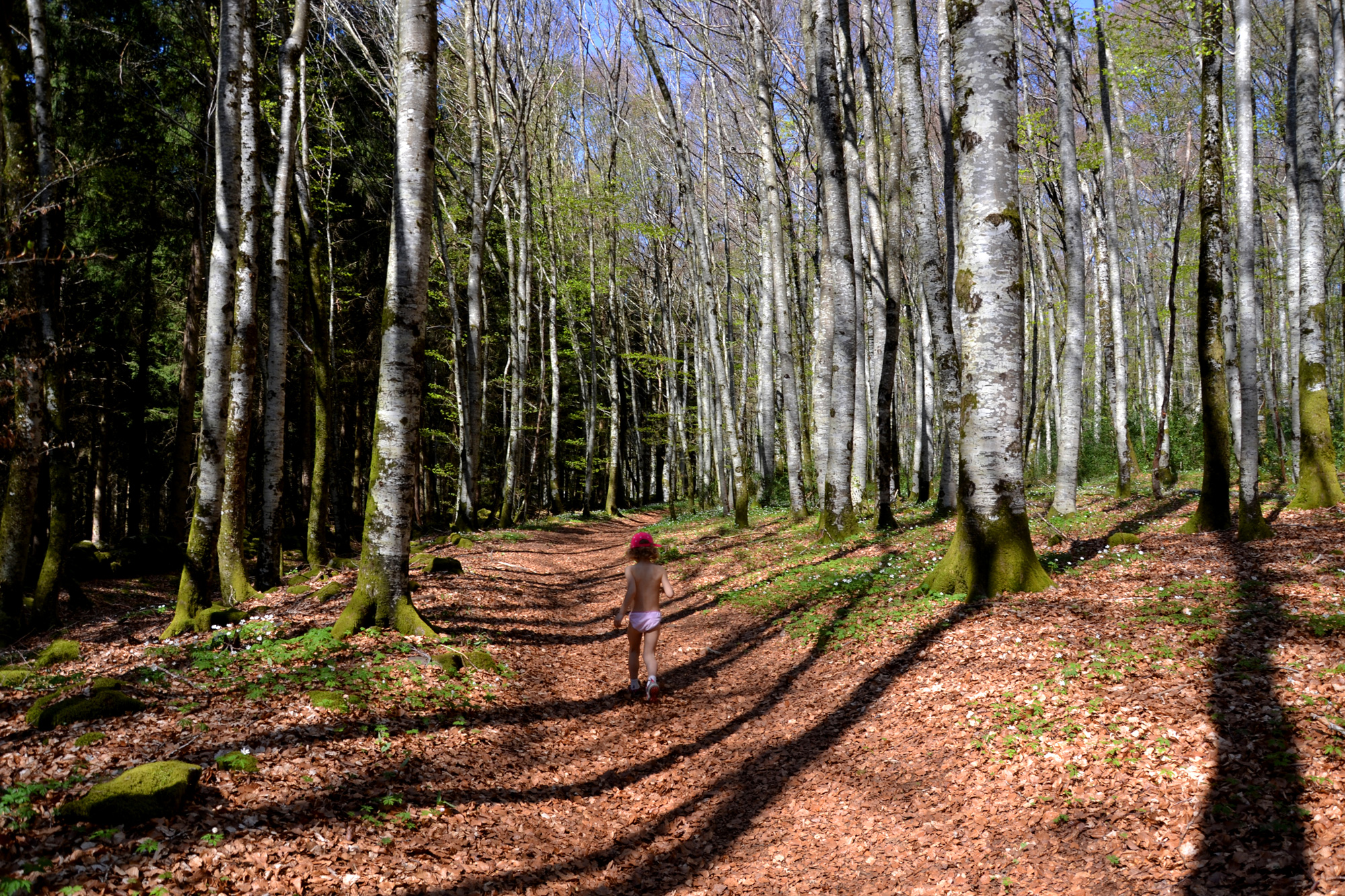 Forêt de Galens