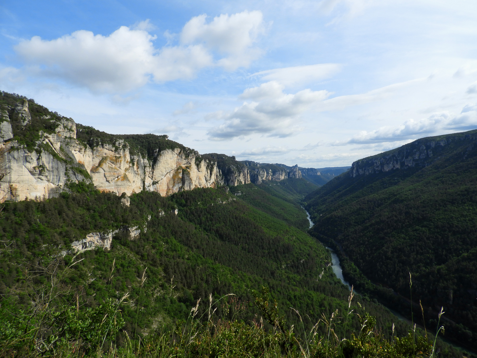 Gorges du Tarn