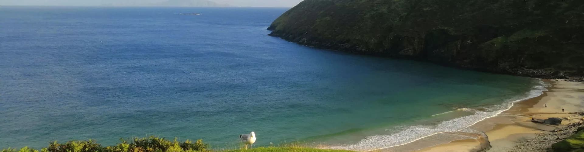 Pêcher son poisson quotidien dans la Baie de Keem