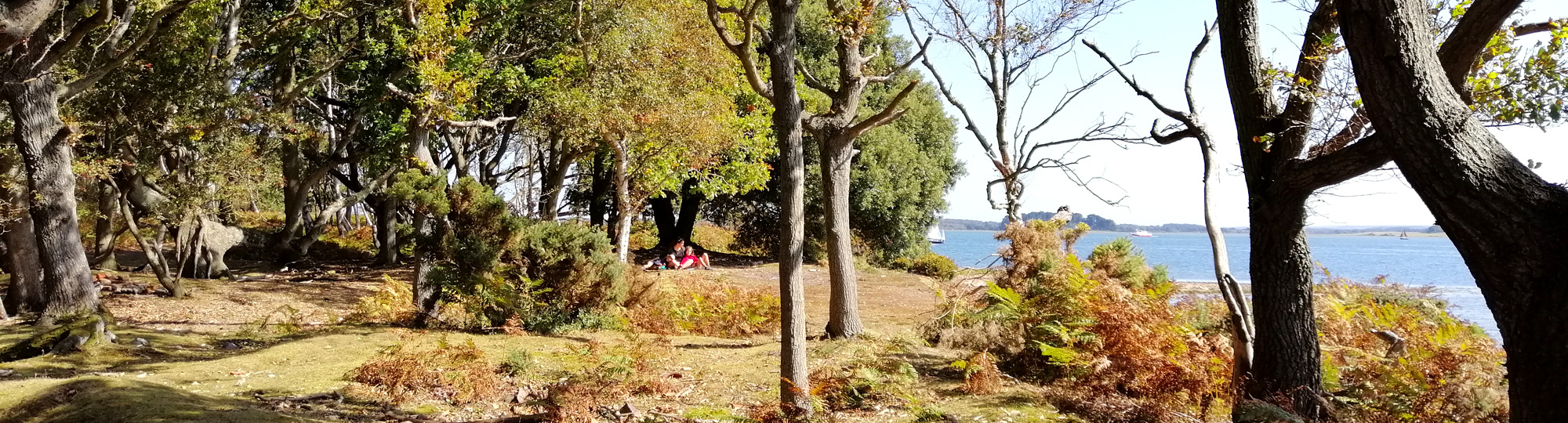 Fouler l’île de Brownsea