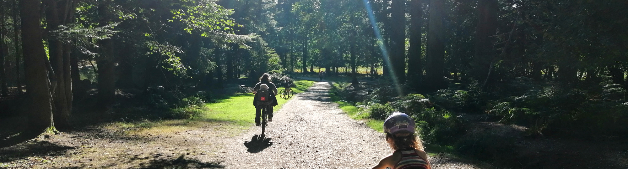 Quelques tours de roues dans New Forest