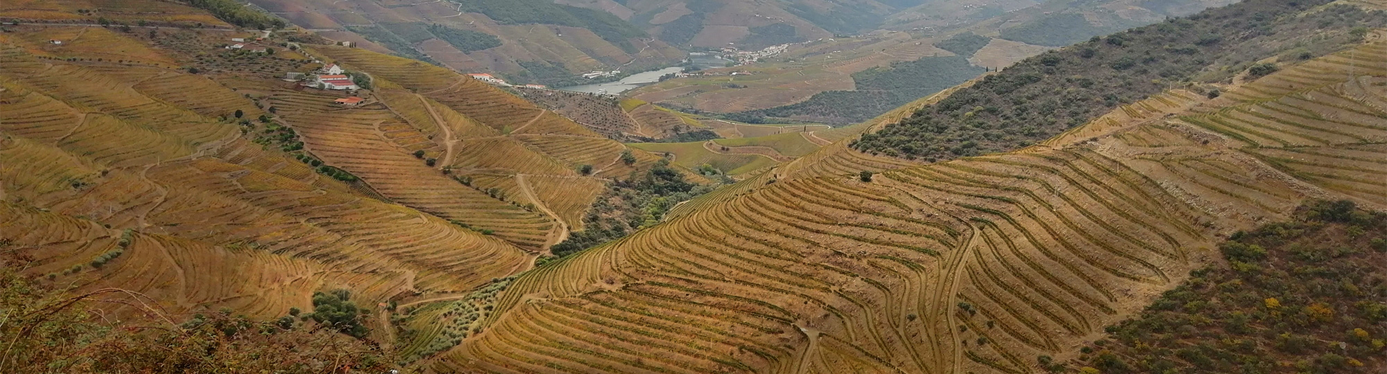 En descendant la vallée du Douro