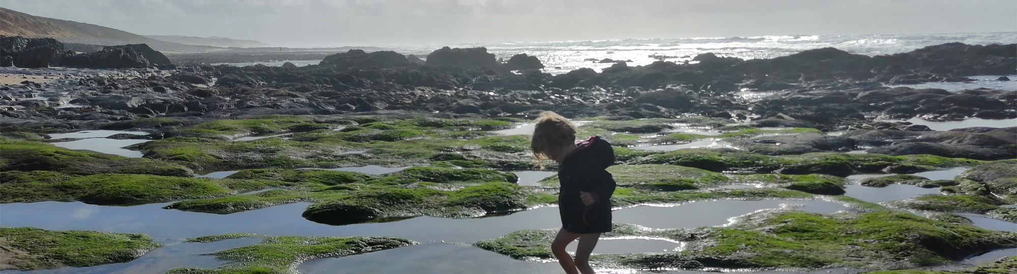 Sauvage côte Atlantique