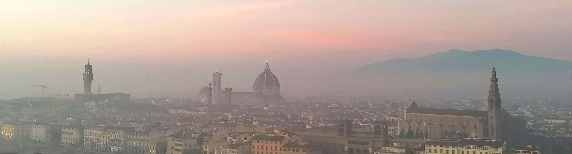 Florence la rose