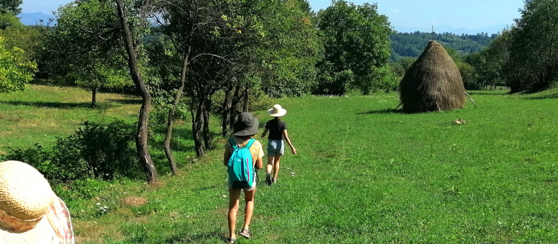 Breb, Maramures
