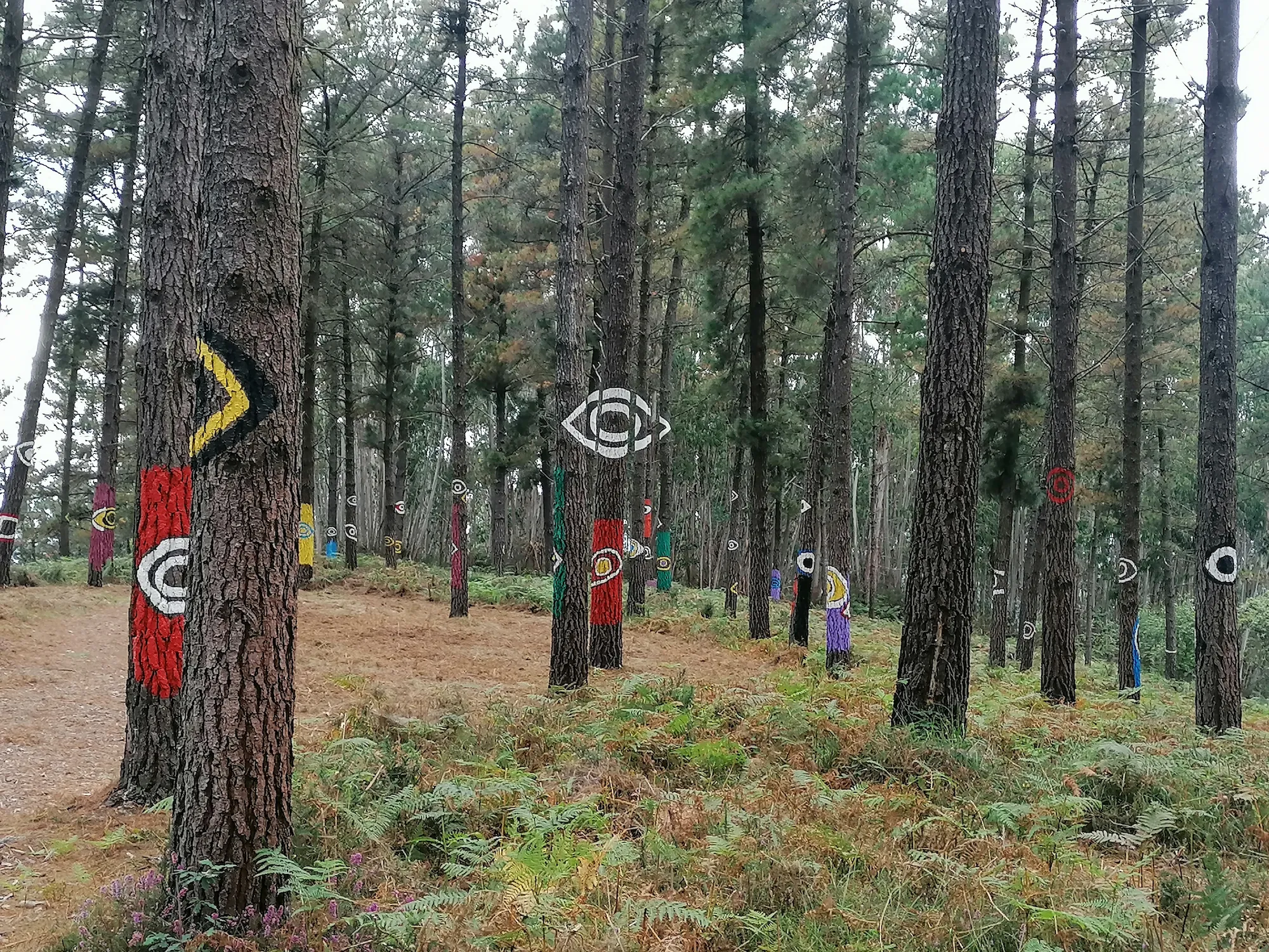 L’interdite forêt de Oma