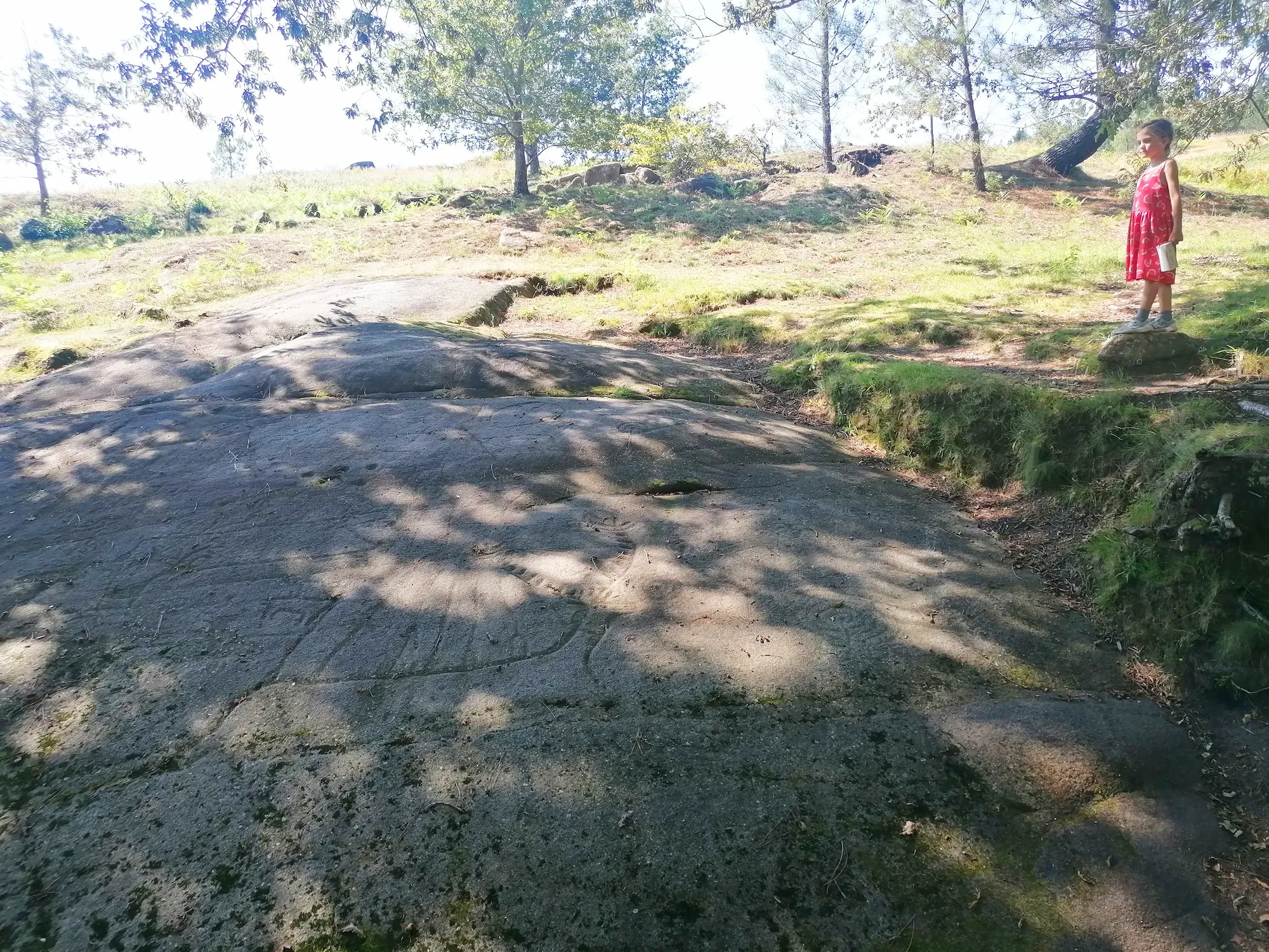 Campo Lameiro, les pétroglyphes de Galice